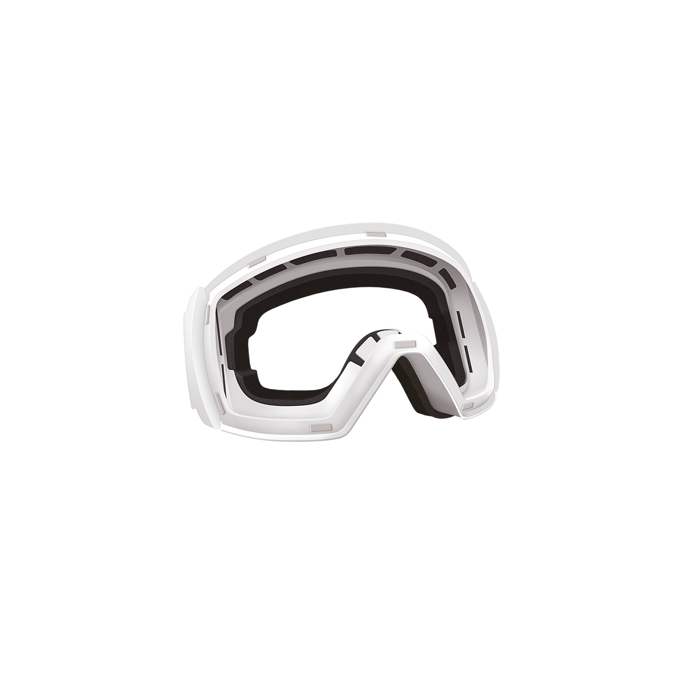 Custom Snow Goggles